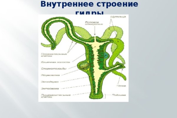 Kra45.cc